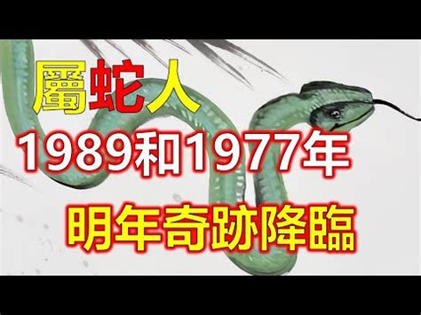 1989年 蛇 五行|1989年出生的屬蛇人一生的命運